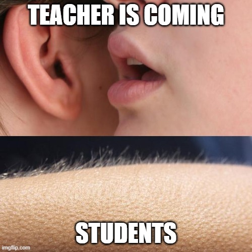 when the students hear this | TEACHER IS COMING; STUDENTS | image tagged in whisper and goosebumps | made w/ Imgflip meme maker