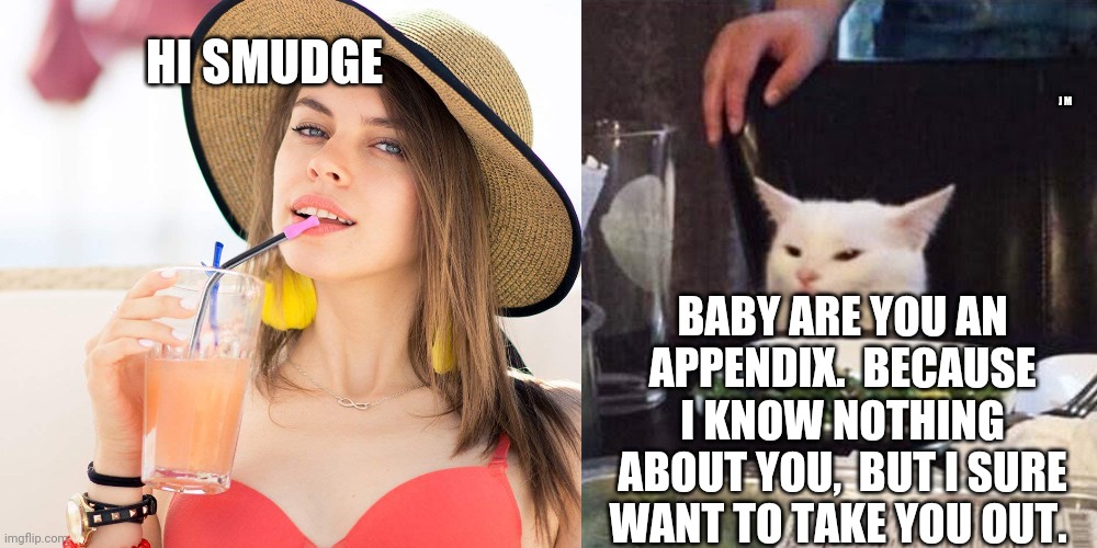 HI SMUDGE; J M; BABY ARE YOU AN APPENDIX.  BECAUSE I KNOW NOTHING ABOUT YOU,  BUT I SURE WANT TO TAKE YOU OUT. | image tagged in smudge the cat | made w/ Imgflip meme maker