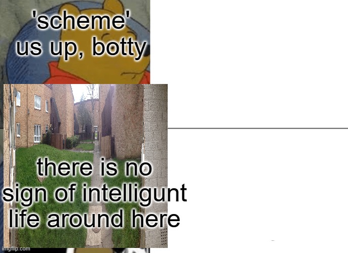 tama | 'scheme' us up, botty; there is no sign of intelligunt life around here | image tagged in memes,tuxedo winnie the pooh | made w/ Imgflip meme maker