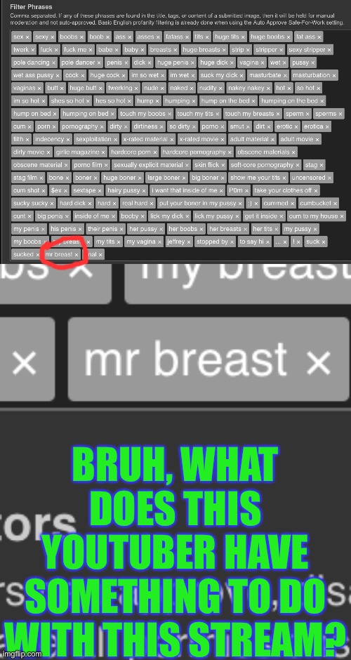 Does this youtuber have something related to this stream? | BRUH, WHAT DOES THIS YOUTUBER HAVE SOMETHING TO DO WITH THIS STREAM? | made w/ Imgflip meme maker