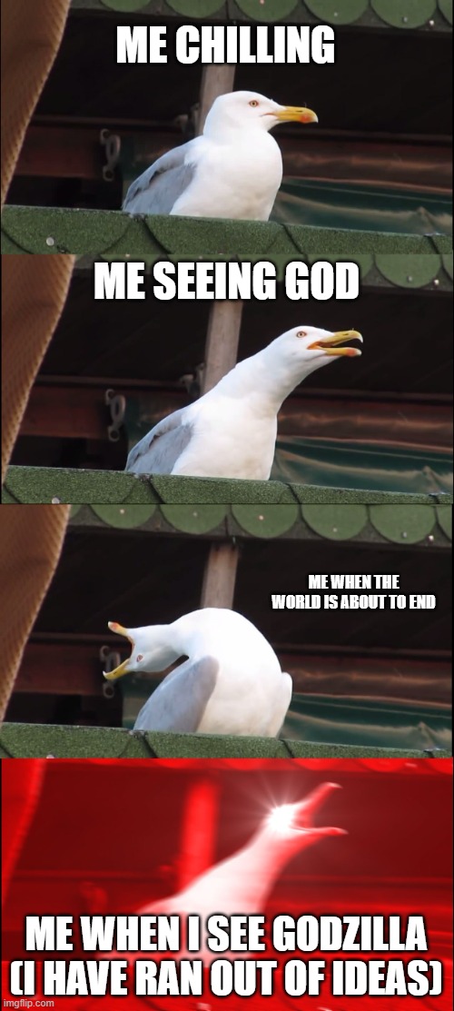 Inhaling Seagull Meme | ME CHILLING; ME SEEING GOD; ME WHEN THE WORLD IS ABOUT TO END; ME WHEN I SEE GODZILLA
(I HAVE RAN OUT OF IDEAS) | image tagged in memes,inhaling seagull | made w/ Imgflip meme maker