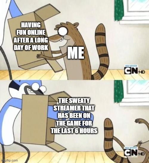 Mordecai Punches Rigby Through a Box | HAVING FUN ONLINE AFTER A LONG DAY OF WORK; ME; THE SWEATY STREAMER THAT HAS BEEN ON THE GAME FOR THE LAST 6 HOURS | image tagged in mordecai punches rigby through a box | made w/ Imgflip meme maker
