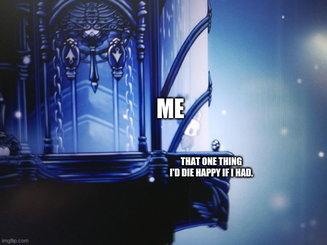 Hollow knight can't reach geo | ME; THAT ONE THING I'D DIE HAPPY IF I HAD. | image tagged in hollow knight can't reach geo | made w/ Imgflip meme maker