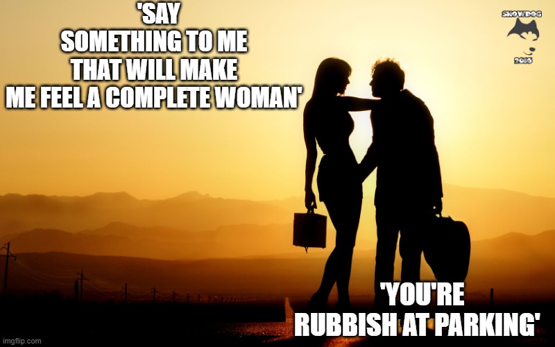 Romantic | 'SAY SOMETHING TO ME THAT WILL MAKE ME FEEL A COMPLETE WOMAN'; 'YOU'RE RUBBISH AT PARKING' | image tagged in romantic | made w/ Imgflip meme maker