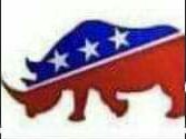 RINO logo Blank Meme Template