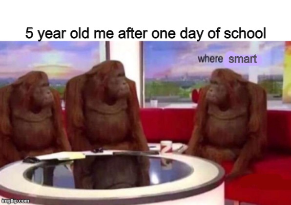 free epic cheese cubes | 5 year old me after one day of school; smart | image tagged in where banana blank | made w/ Imgflip meme maker