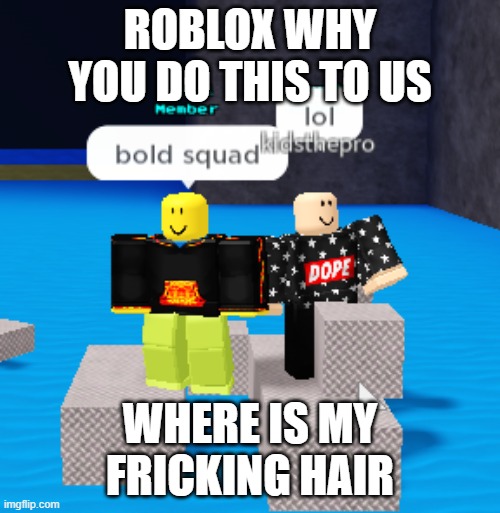 Roblox bold squad | ROBLOX WHY YOU DO THIS TO US; WHERE IS MY FRICKING HAIR | image tagged in roblox bold,roblox,funny,bruhh | made w/ Imgflip meme maker