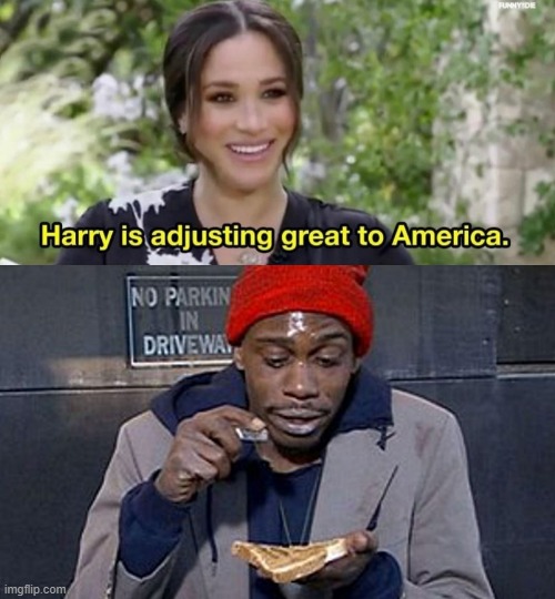 YUP! | image tagged in harry adjusting to america meghan,memes,america,tyron | made w/ Imgflip meme maker