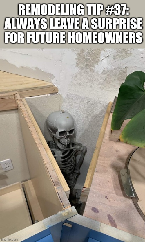Funny Bones | REMODELING TIP #37: ALWAYS LEAVE A SURPRISE FOR FUTURE HOMEOWNERS | image tagged in skeleton,cabinet,surprise,funny,pranks | made w/ Imgflip meme maker