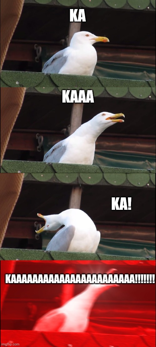 Inhaling Seagull | KA; KAAA; KA! KAAAAAAAAAAAAAAAAAAAAAAA!!!!!!! | image tagged in memes,inhaling seagull | made w/ Imgflip meme maker