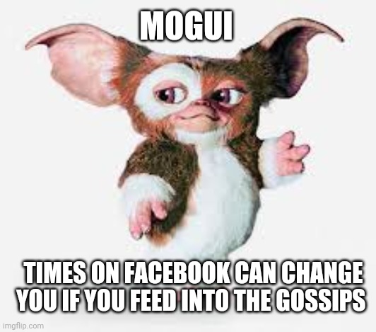Gizmo | MOGUI; TIMES ON FACEBOOK CAN CHANGE YOU IF YOU FEED INTO THE GOSSIPS | image tagged in gizmo | made w/ Imgflip meme maker