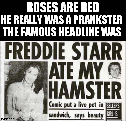Freddy Star | ROSES ARE RED; HE REALLY WAS A PRANKSTER; THE FAMOUS HEADLINE WAS | image tagged in roses are red,headlines,freddy star,1980's | made w/ Imgflip meme maker