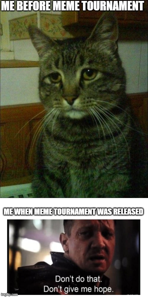 Depressed Cat | ME BEFORE MEME TOURNAMENT; ME WHEN MEME TOURNAMENT WAS RELEASED | image tagged in memes,depressed cat | made w/ Imgflip meme maker