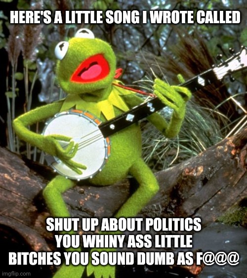 Shut up about Politics | HERE'S A LITTLE SONG I WROTE CALLED; SHUT UP ABOUT POLITICS YOU WHINY ASS LITTLE BITCHES YOU SOUND DUMB AS F@@@ | image tagged in kermit banjo,politics,fun | made w/ Imgflip meme maker