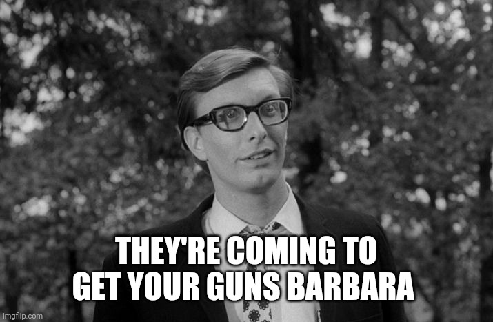 Politics and stuff | THEY'RE COMING TO GET YOUR GUNS BARBARA | image tagged in funny memes | made w/ Imgflip meme maker