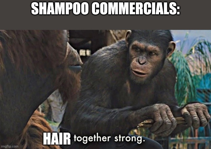 Shampoo togeter stronk | SHAMPOO COMMERCIALS:; HAIR | image tagged in funny memes,funny,fun,shampoo,hair,commercials | made w/ Imgflip meme maker