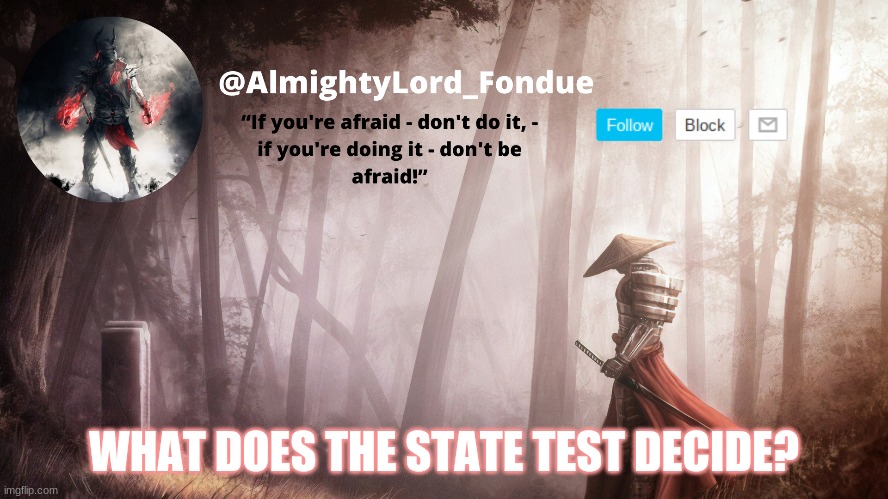 Mine on Monday | WHAT DOES THE STATE TEST DECIDE? | image tagged in fondue operation fierce | made w/ Imgflip meme maker