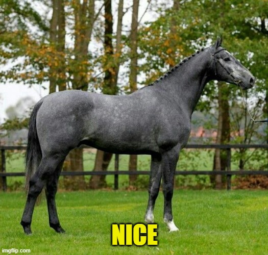 NICE | made w/ Imgflip meme maker