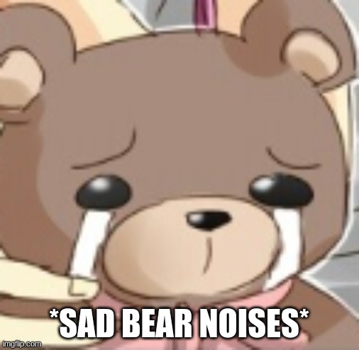 crying bear | *SAD BEAR NOISES* | image tagged in crying bear | made w/ Imgflip meme maker