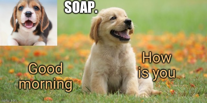 soap doggo template | How is you; Good morning | image tagged in soap doggo template | made w/ Imgflip meme maker
