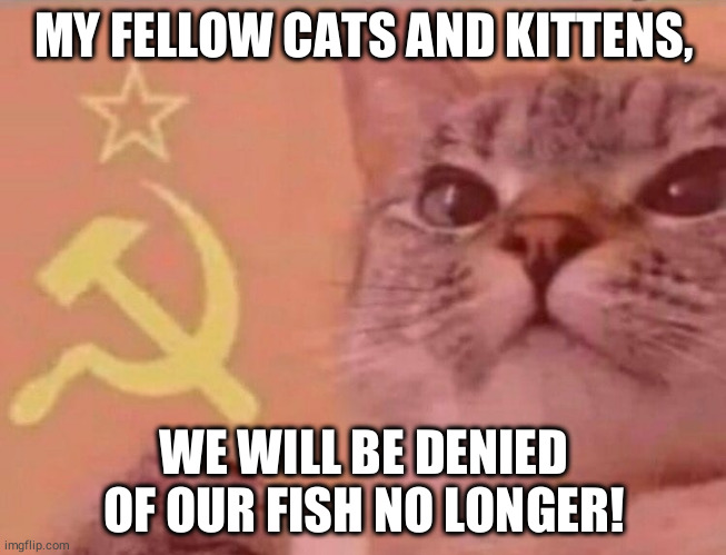 Communist cat | MY FELLOW CATS AND KITTENS, WE WILL BE DENIED OF OUR FISH NO LONGER! | image tagged in communist cat,memes | made w/ Imgflip meme maker