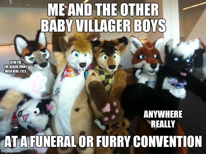 Me and the boys | ME AND THE OTHER BABY VILLAGER BOYS; BTW I'M THE BLACK FURRY WITH BLUE EYES; ANYWHERE REALLY; AT A FUNERAL OR FURRY CONVENTION | image tagged in furries | made w/ Imgflip meme maker