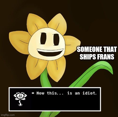 Don't be an idiot, OK? | SOMEONE THAT SHIPS FRANS | image tagged in this is an idiot,undertale,flowey | made w/ Imgflip meme maker