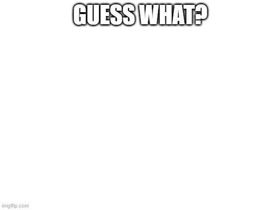Blank White Template | GUESS WHAT? | image tagged in blank white template | made w/ Imgflip meme maker