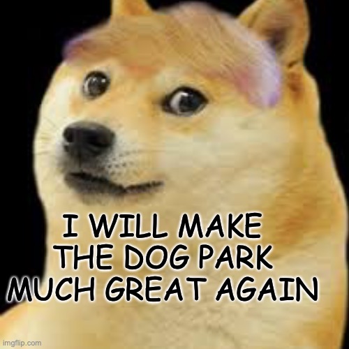MUCH DOGE PRESIDENTS | I WILL MAKE THE DOG PARK MUCH GREAT AGAIN | image tagged in president trump | made w/ Imgflip meme maker