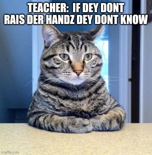 Serious cat | TEACHER:  IF DEY DONT RAIS DER HANDZ DEY DONT KNOW | image tagged in serious cat,cop,cat,minecraft | made w/ Imgflip meme maker