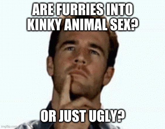 interesting | ARE FURRIES INTO KINKY ANIMAL SEX? OR JUST UGLY? | image tagged in interesting | made w/ Imgflip meme maker