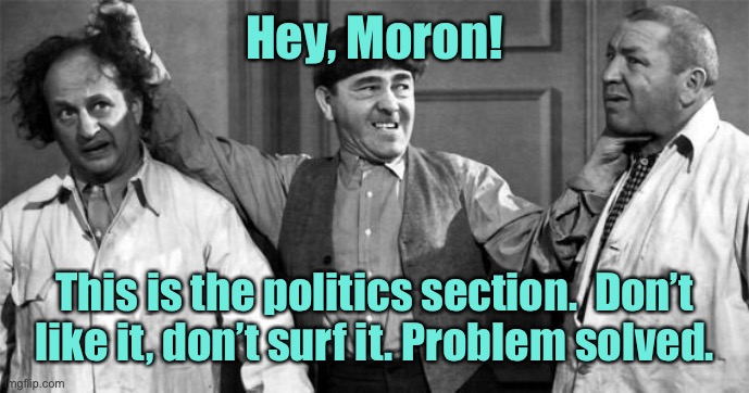 Three Stooges | Hey, Moron! This is the politics section.  Don’t like it, don’t surf it. Problem solved. | image tagged in three stooges | made w/ Imgflip meme maker