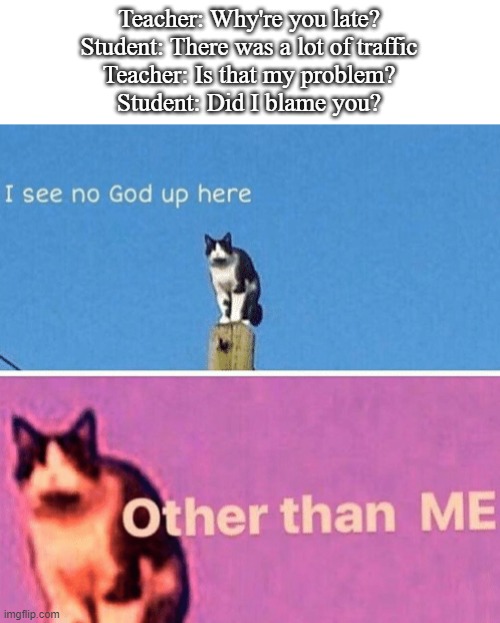lol |  Teacher: Why're you late?
Student: There was a lot of traffic
Teacher: Is that my problem?
Student: Did I blame you? | image tagged in hail pole cat | made w/ Imgflip meme maker