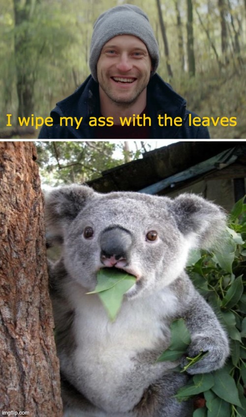 Wait a minute... | image tagged in surprised koala | made w/ Imgflip meme maker