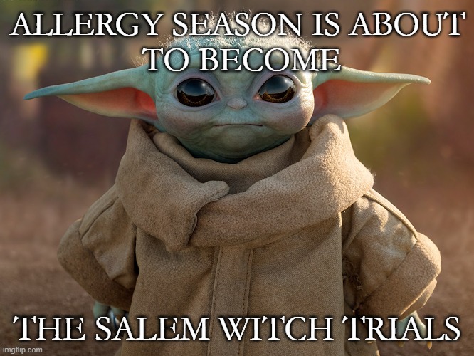 Baby Yoda Allergy Season | ALLERGY SEASON IS ABOUT
 TO BECOME; THE SALEM WITCH TRIALS | image tagged in baby yoda | made w/ Imgflip meme maker