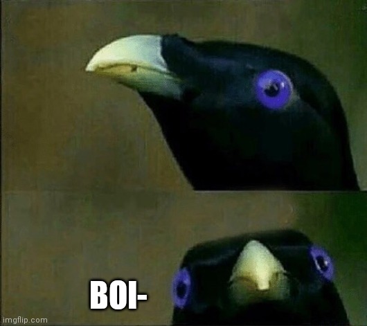 you want sum fuk | BOI- | image tagged in you want sum fuk | made w/ Imgflip meme maker