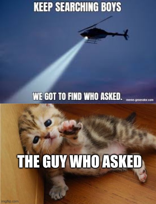 He's been missing for years | THE GUY WHO ASKED | image tagged in keep searching boys we gotta find,help me kitten | made w/ Imgflip meme maker