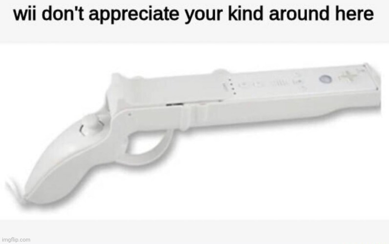 Wii Don't Appreciate Your Kind Around Here | image tagged in wii don't appreciate your kind around here | made w/ Imgflip meme maker