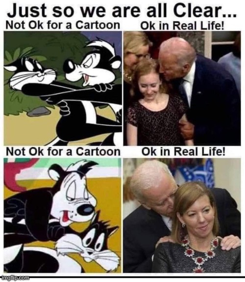 Biden is a sexual predator | image tagged in skunkdynamite | made w/ Imgflip meme maker