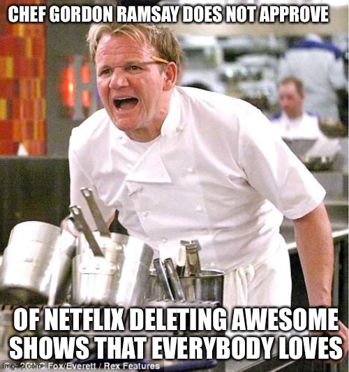 srsly netflix | CHEF GORDON RAMSAY DOES NOT APPROVE; OF NETFLIX DELETING AWESOME SHOWS THAT EVERYBODY LOVES | image tagged in memes,chef gordon ramsay | made w/ Imgflip meme maker