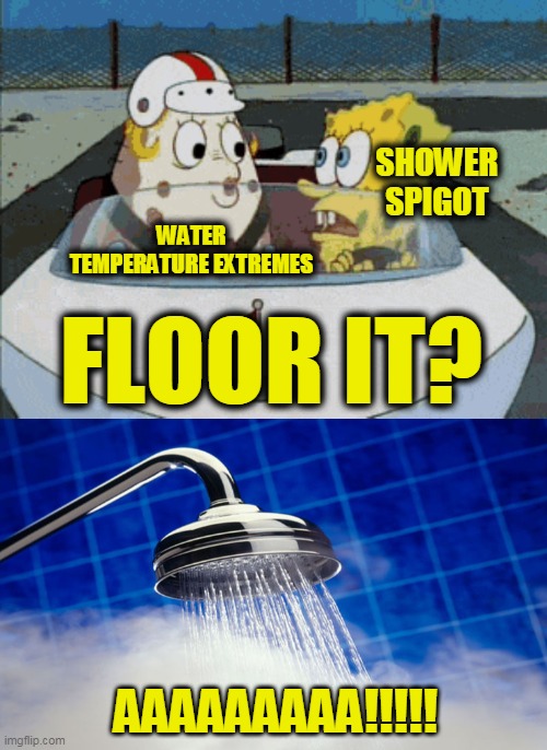 Too Hot!!! Too Cold!!! | SHOWER SPIGOT; WATER TEMPERATURE EXTREMES; FLOOR IT? AAAAAAAAA!!!!! | image tagged in shower,too hot,too cold | made w/ Imgflip meme maker