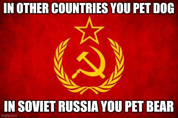 *drinks Vodka* | IN OTHER COUNTRIES YOU PET DOG; IN SOVIET RUSSIA YOU PET BEAR | image tagged in in soviet russia | made w/ Imgflip meme maker