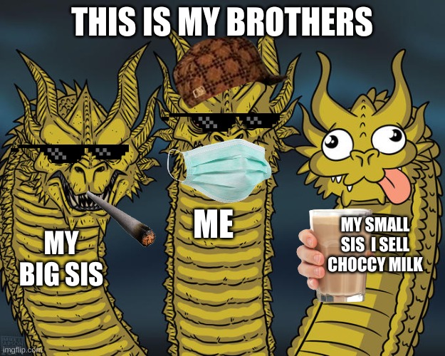 Three-headed Dragon | THIS IS MY BROTHERS; ME; MY SMALL SIS  I SELL CHOCCY MILK; MY BIG SIS | image tagged in three-headed dragon | made w/ Imgflip meme maker