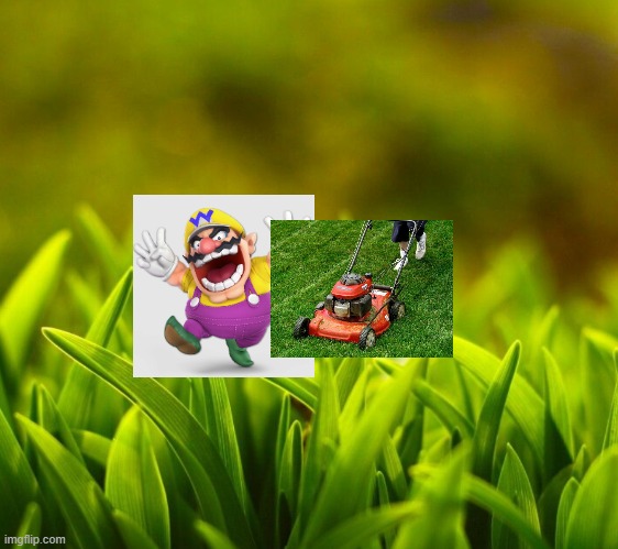 Wario dies by getting lawnmowed.mp3 | image tagged in wario,lawnmower,memes | made w/ Imgflip meme maker