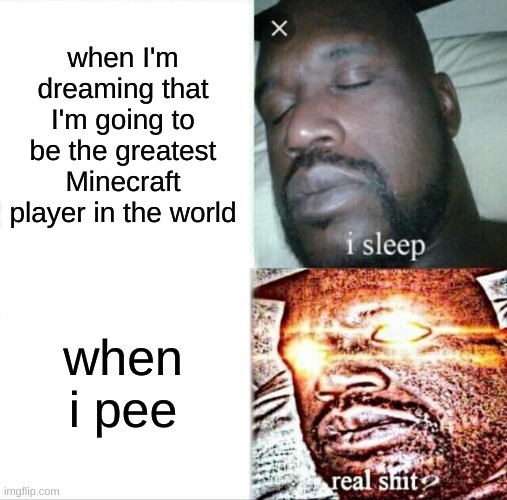 Sleeping Shaq | when I'm dreaming that I'm going to be the greatest Minecraft player in the world; when i pee | image tagged in memes,sleeping shaq | made w/ Imgflip meme maker