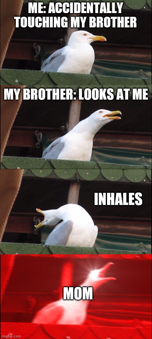 Inhaling Seagull | ME: ACCIDENTALLY TOUCHING MY BROTHER; MY BROTHER: LOOKS AT ME; INHALES; MOM | image tagged in memes,inhaling seagull | made w/ Imgflip meme maker