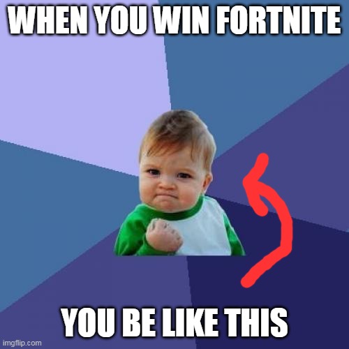 Success Kid | WHEN YOU WIN FORTNITE; YOU BE LIKE THIS | image tagged in memes,success kid | made w/ Imgflip meme maker