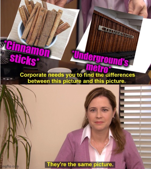 -Should to know. | *Cinnamon sticks*; *Underground's metro* | image tagged in memes,they're the same picture,call of duty,metro,what the cinnamon toast f is this,spice girls | made w/ Imgflip meme maker