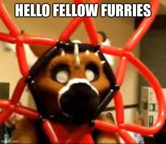 Sup | HELLO FELLOW FURRIES | image tagged in furry | made w/ Imgflip meme maker