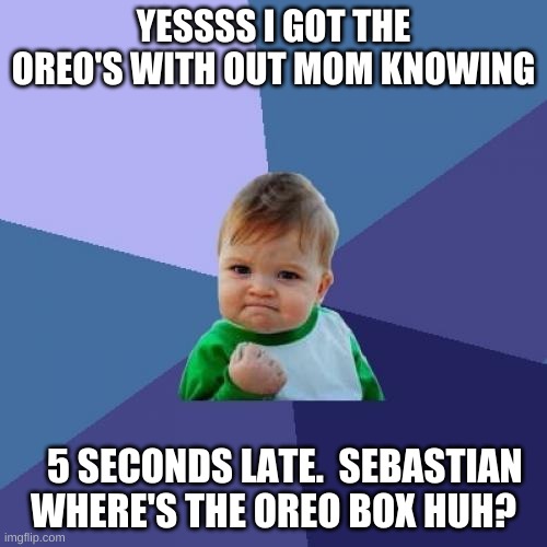 Success Kid Meme | YESSSS I GOT THE OREO'S WITH OUT MOM KNOWING; 5 SECONDS LATE.  SEBASTIAN WHERE'S THE OREO BOX HUH? | image tagged in memes,success kid | made w/ Imgflip meme maker